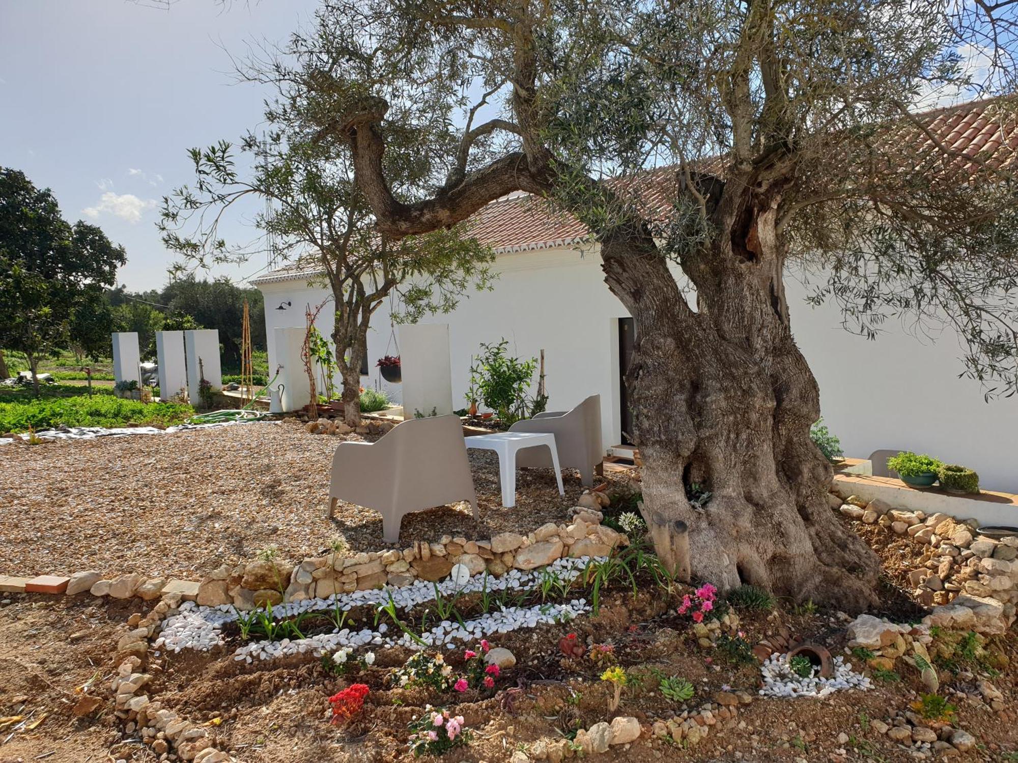 Monte Das Acoteias - Agroturismo Tavira Exterior foto